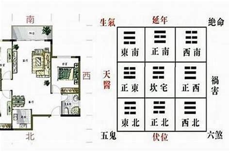 如何分辨青龙位|风水宝典：如何确定青龙位？